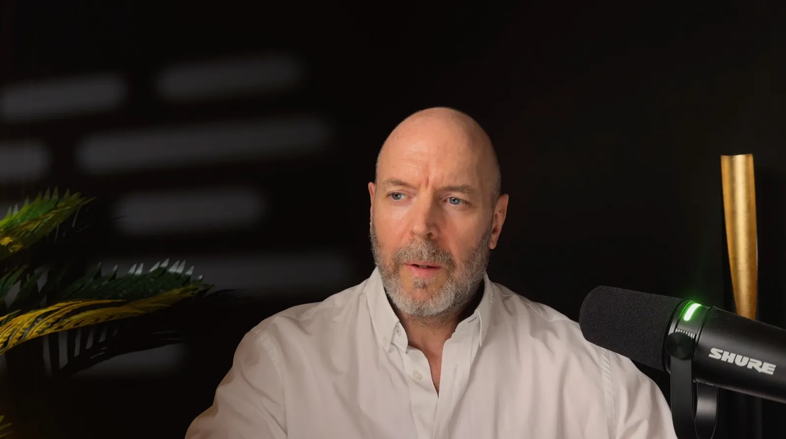 David Mocq, voyant renommé